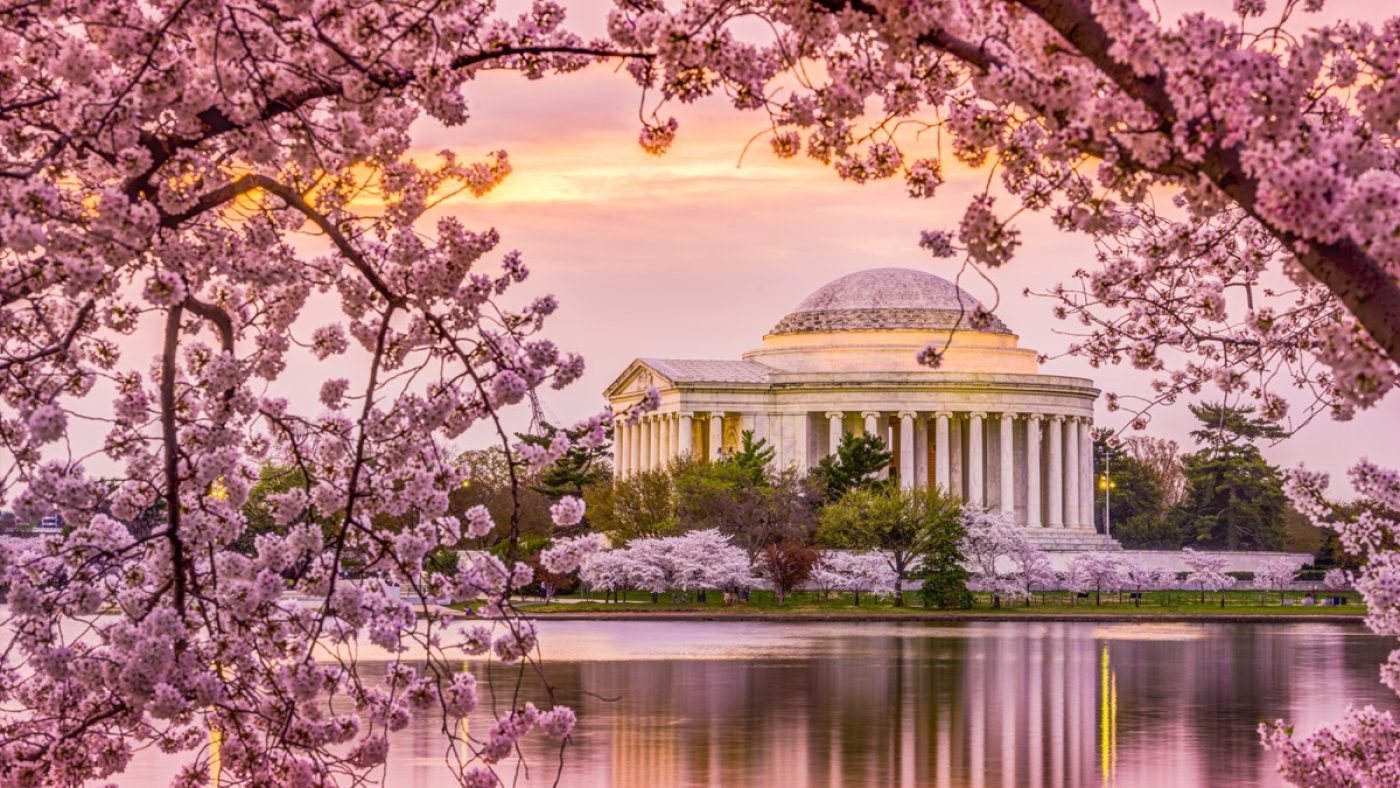 13 Beautiful Places to See the Cherry Blossoms in America — Best Life