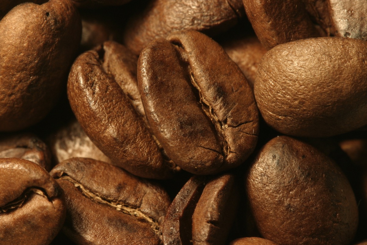 unground coffee bean up close