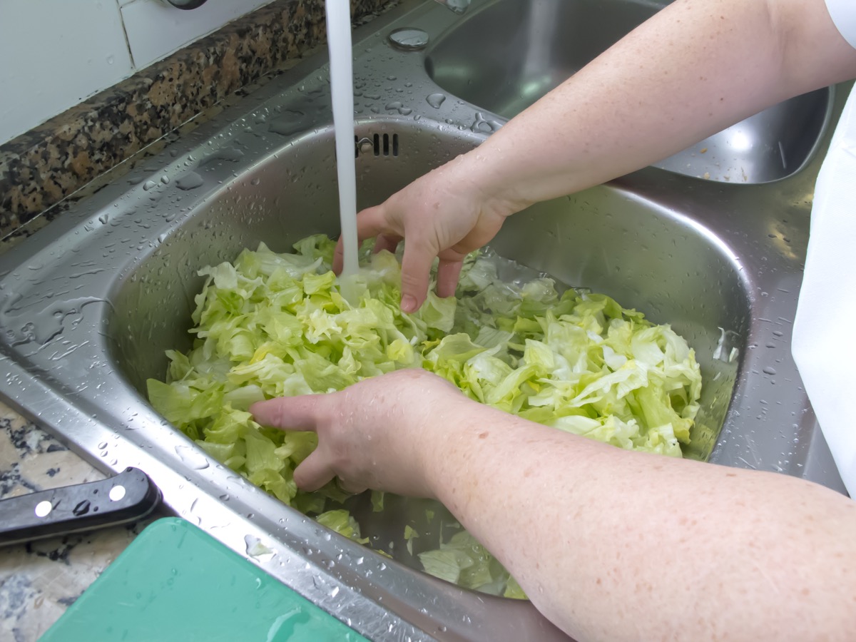 kitchen worker cleaning lettuce