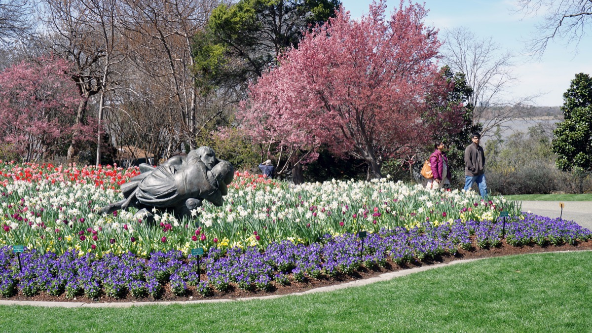 Dallas Arboretum and Botanical Garden, people enjoying a great Spring Day.