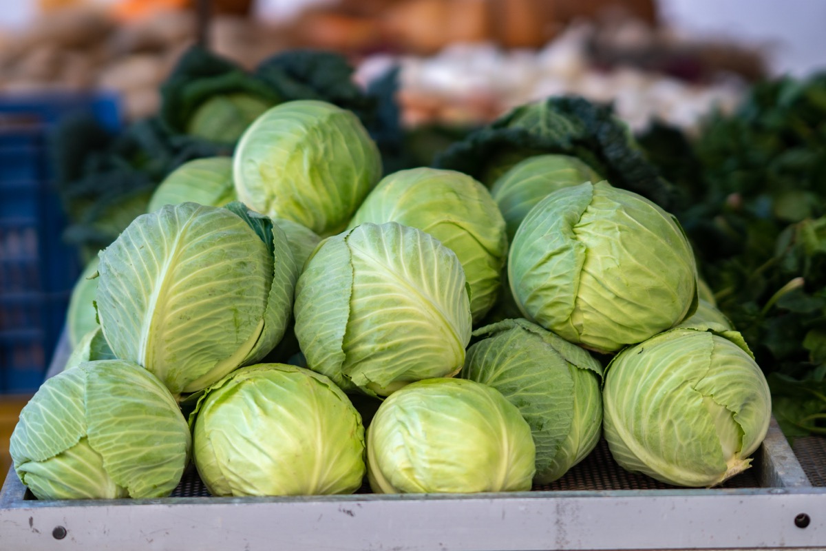 green cabbage for sale at a farmer's market stall