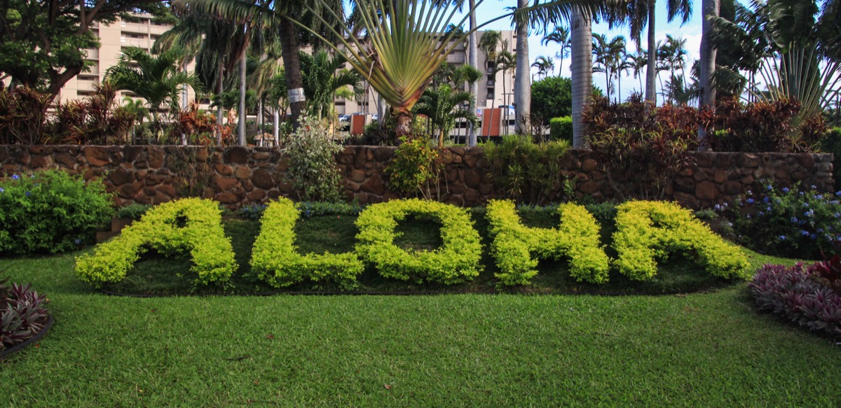 welcome bushes in Hawaii saying