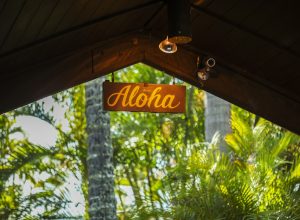 aloha Hawaii sign on top of a building