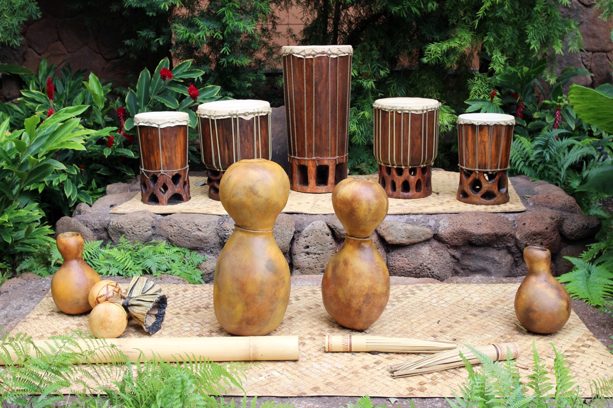 pahu drums sitting outside together