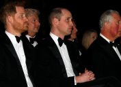 Prince Harry, Prince William, and Prince Charles sit in the front row during the global premiere of Netflix's 'Our Planet' at the Natural History Museum in Kensington, London, hosted by Sir David in 2019