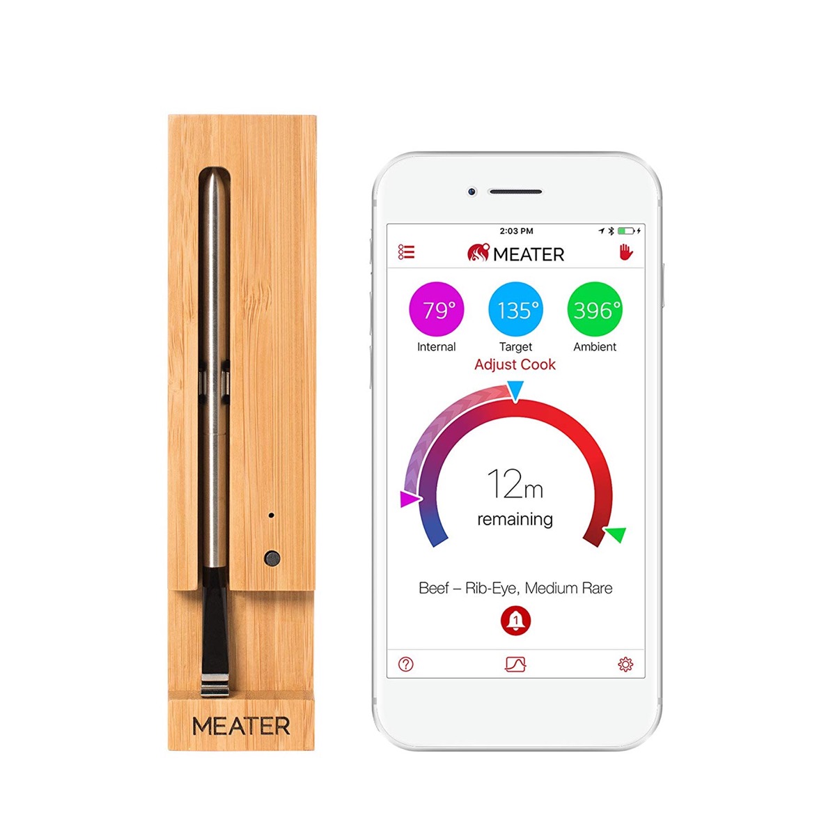 smartphone connected thermometer