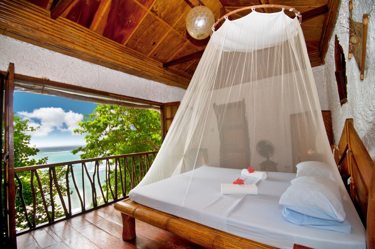 tropical resort room