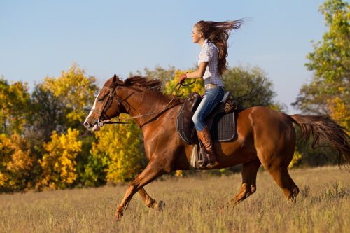 woman riding a horse in the countryside