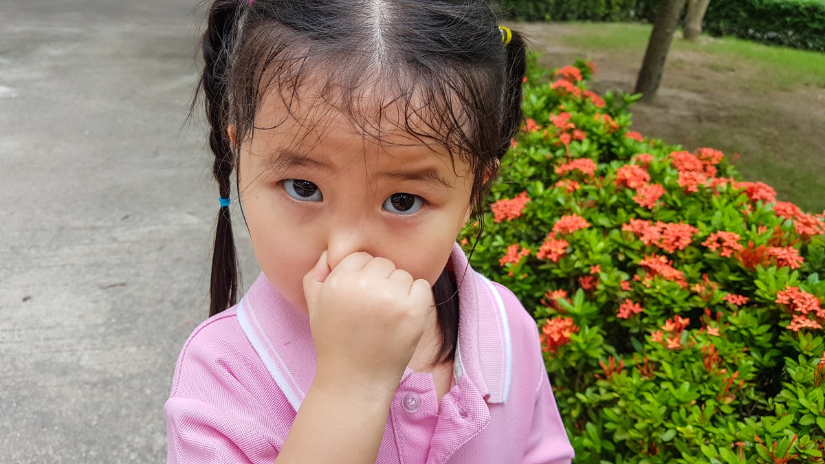 asian toddler with pigtails pinching nose