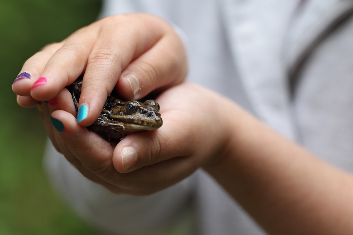 girl with painted nails holding frog or toad