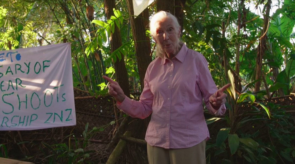 Jane Goodall in Jane Goodall: The Hope