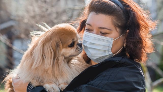 middle-aged asian woman in face mask holding dog