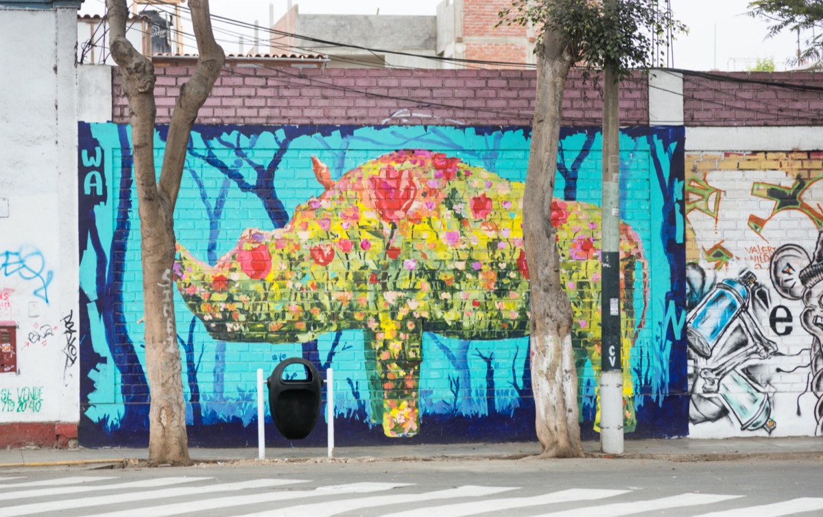 colorful mural of a rhinoceros in a street in Barranco, a suburb of Lima, Peru
