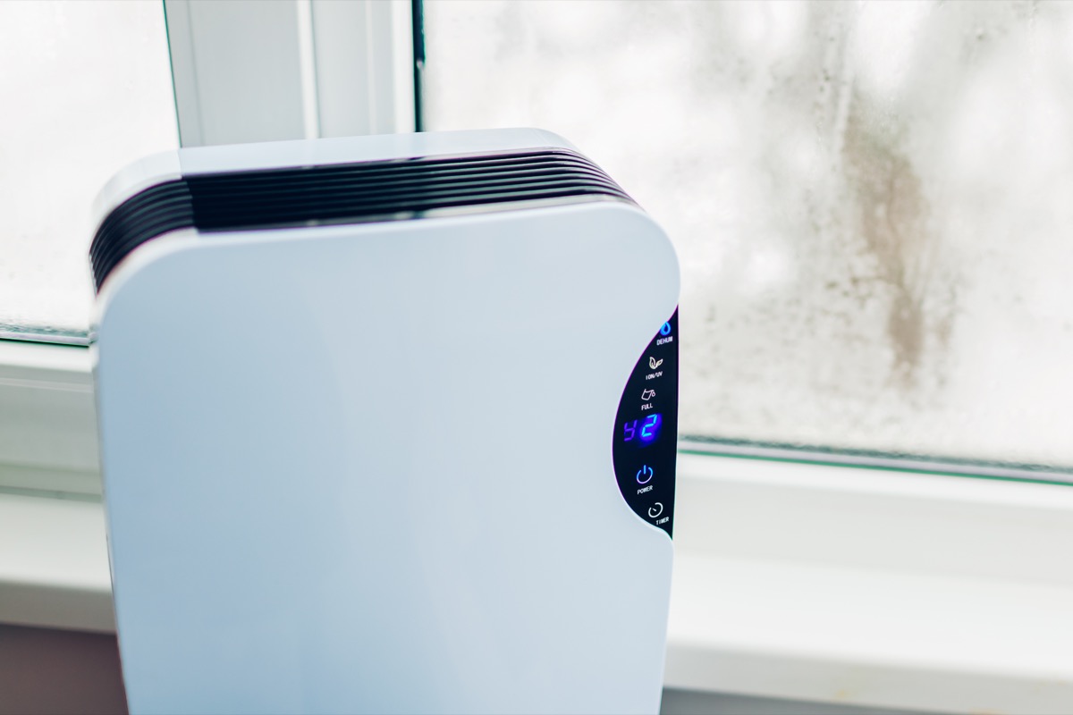 Running a Dehumidifier Helps Keep Bugs Out of Your Home — Best Life