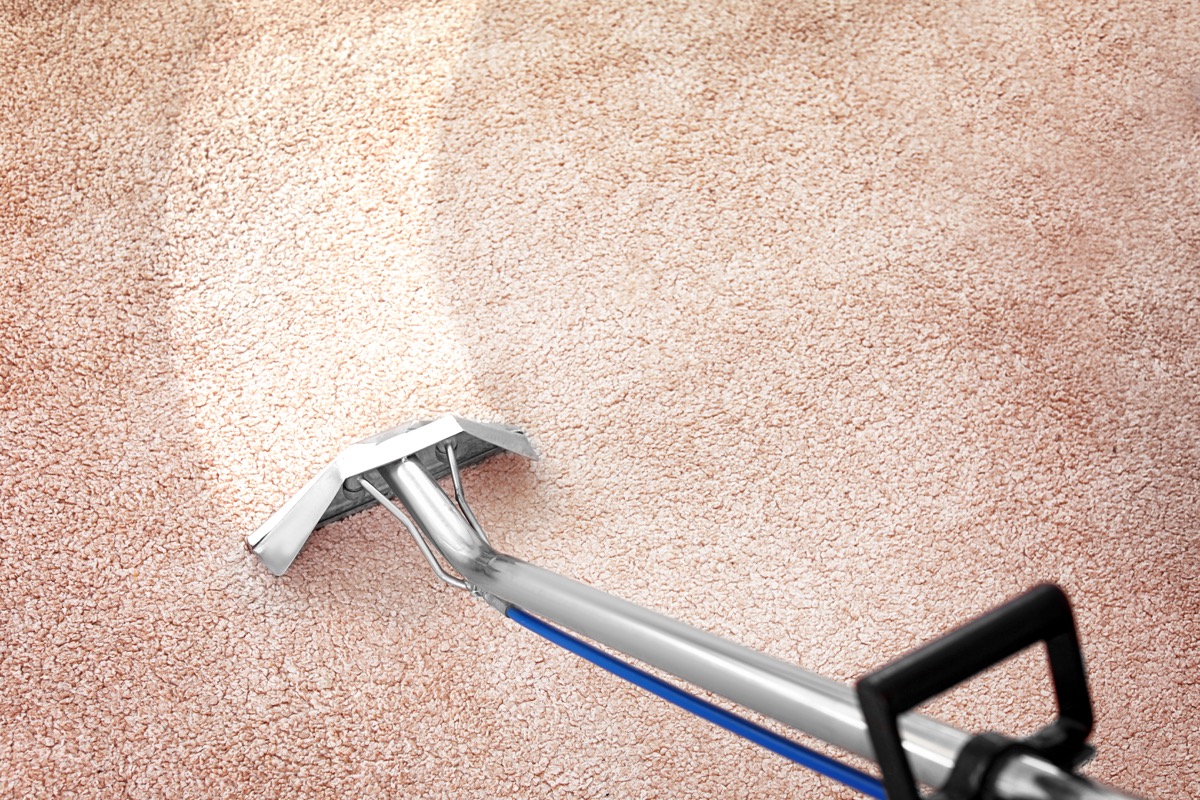 Steam cleaning carpet at home