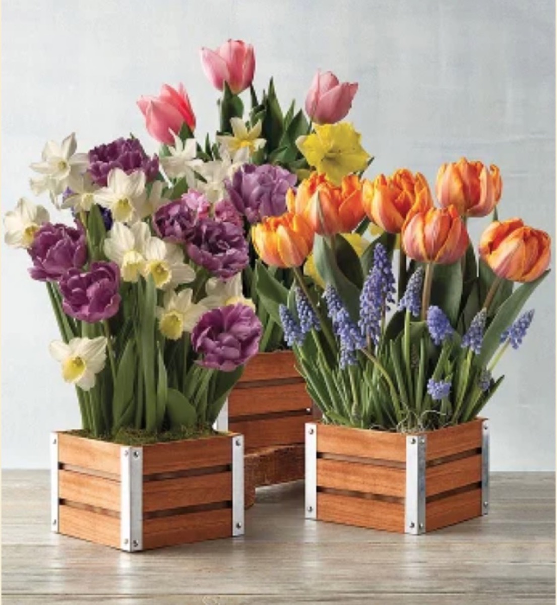 three wooden crates of colorful flowers on granite counter