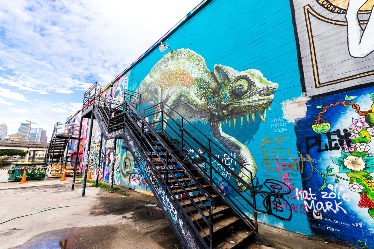 chameleon mural in houston texas