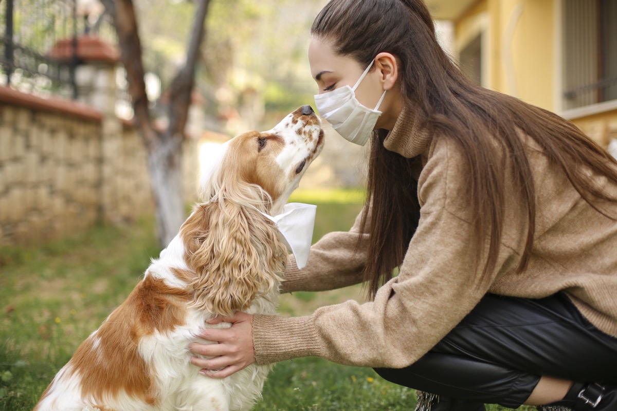 Chinese Coronavirus 2019-nCoV dangerous for pets