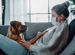 Woman wearing a protective face mask cuddles, plays with her dog at home because of the corona virus pandemic covid-19