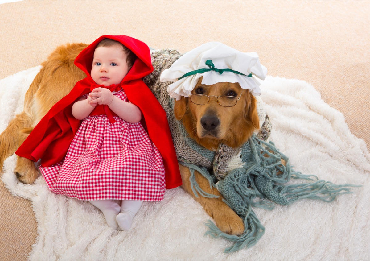 red riding hood baby creation