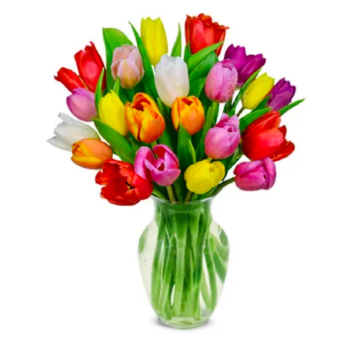 20 rainbow tulips send flowers