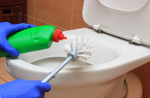 gloved hands cleaning toilet with toilet brush