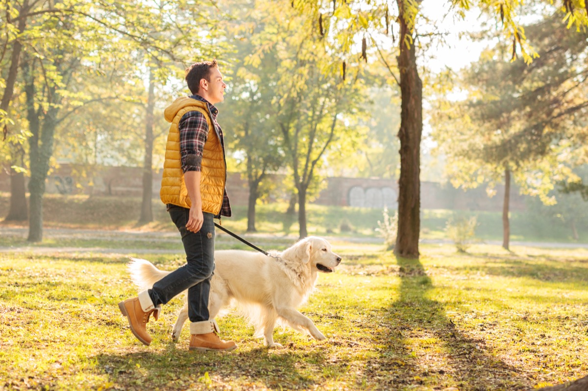 Man walking through park with his dog