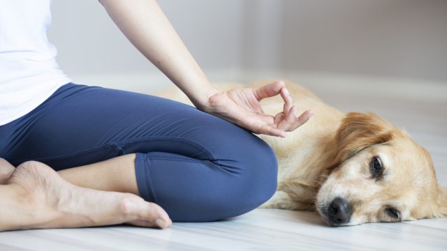 Woman and dog doing yoga