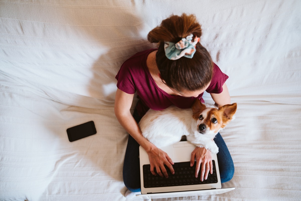 Woman working from her bed with dog in lap