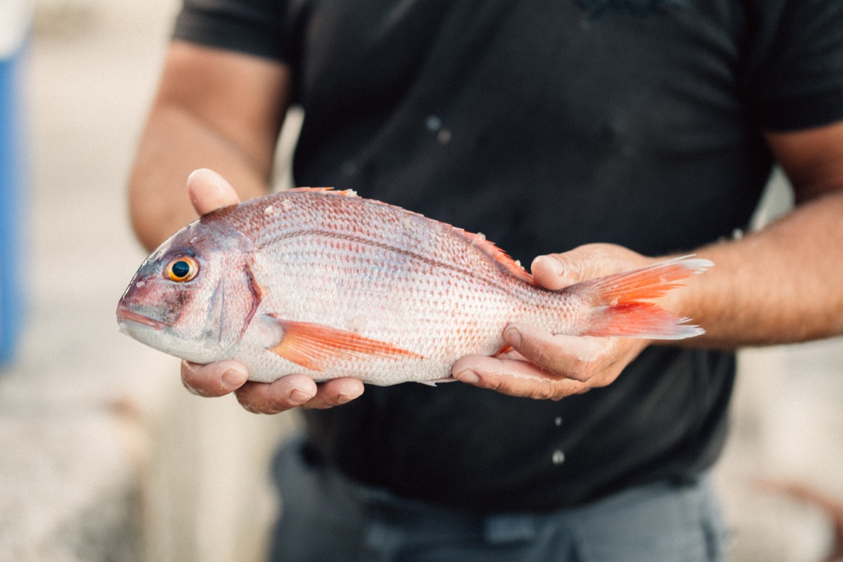 Sustainably caught seafood