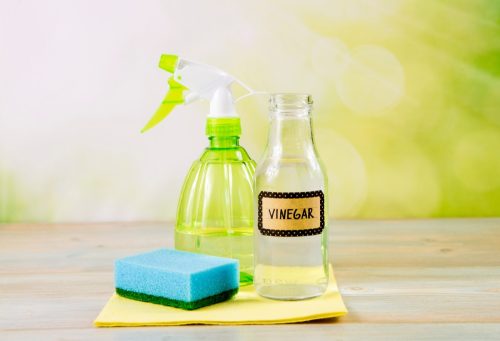 Sponge, spray bottle, and glass bottle label vinegar