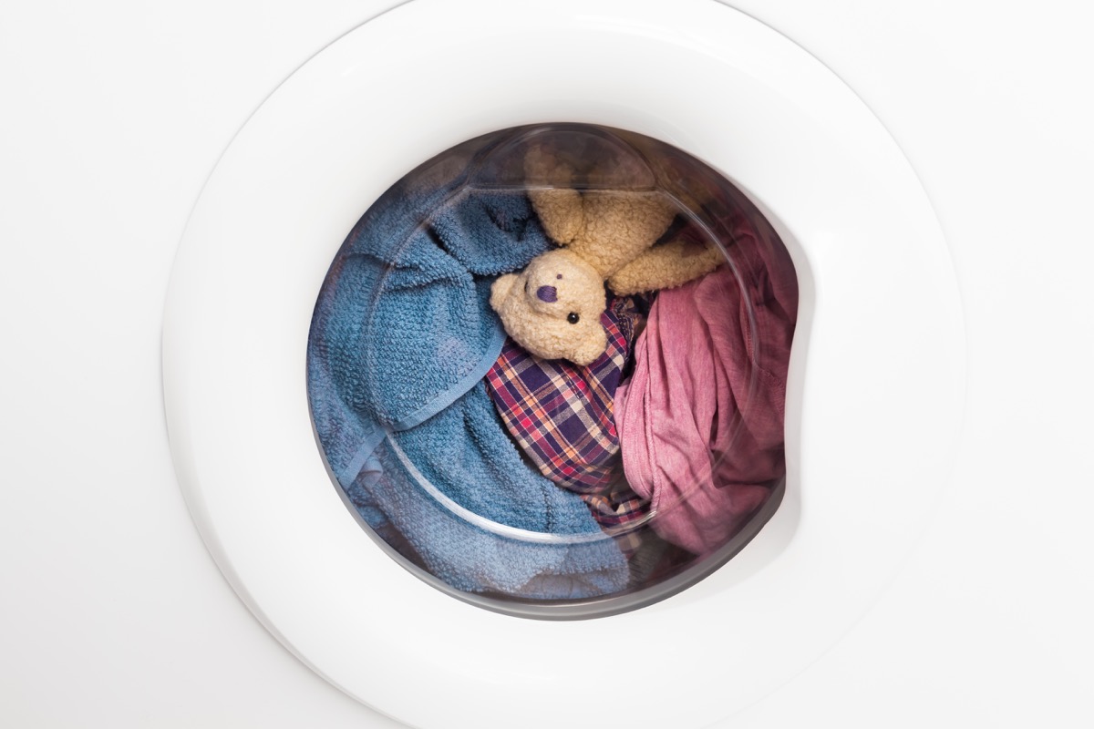 Teddy bear in washing machine