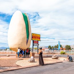 world's largest pistachio nut in new mexico