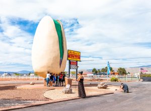 world's largest pistachio nut in new mexico