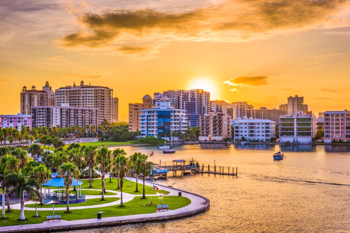 Florida skyline with palm trees and buildings