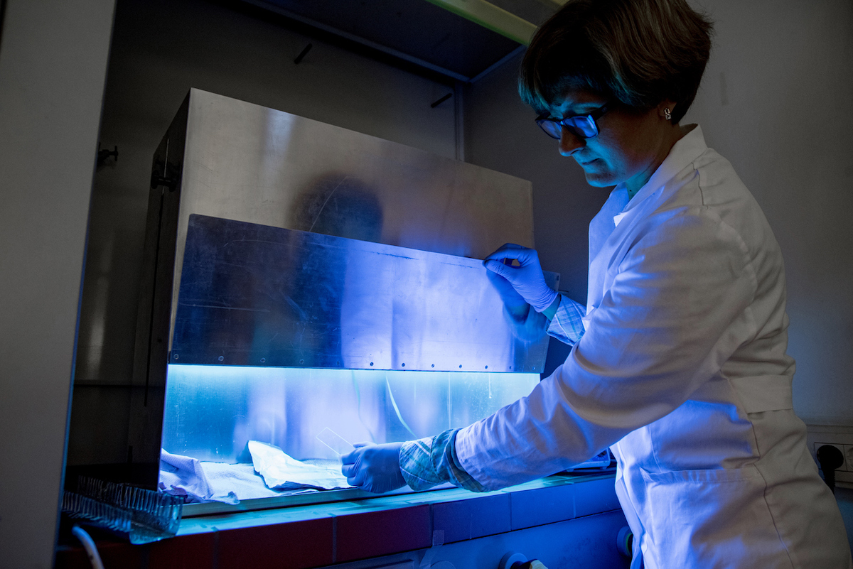 Female Laboratory Technician with Glasses Using UV Light Machine for Testing Samples