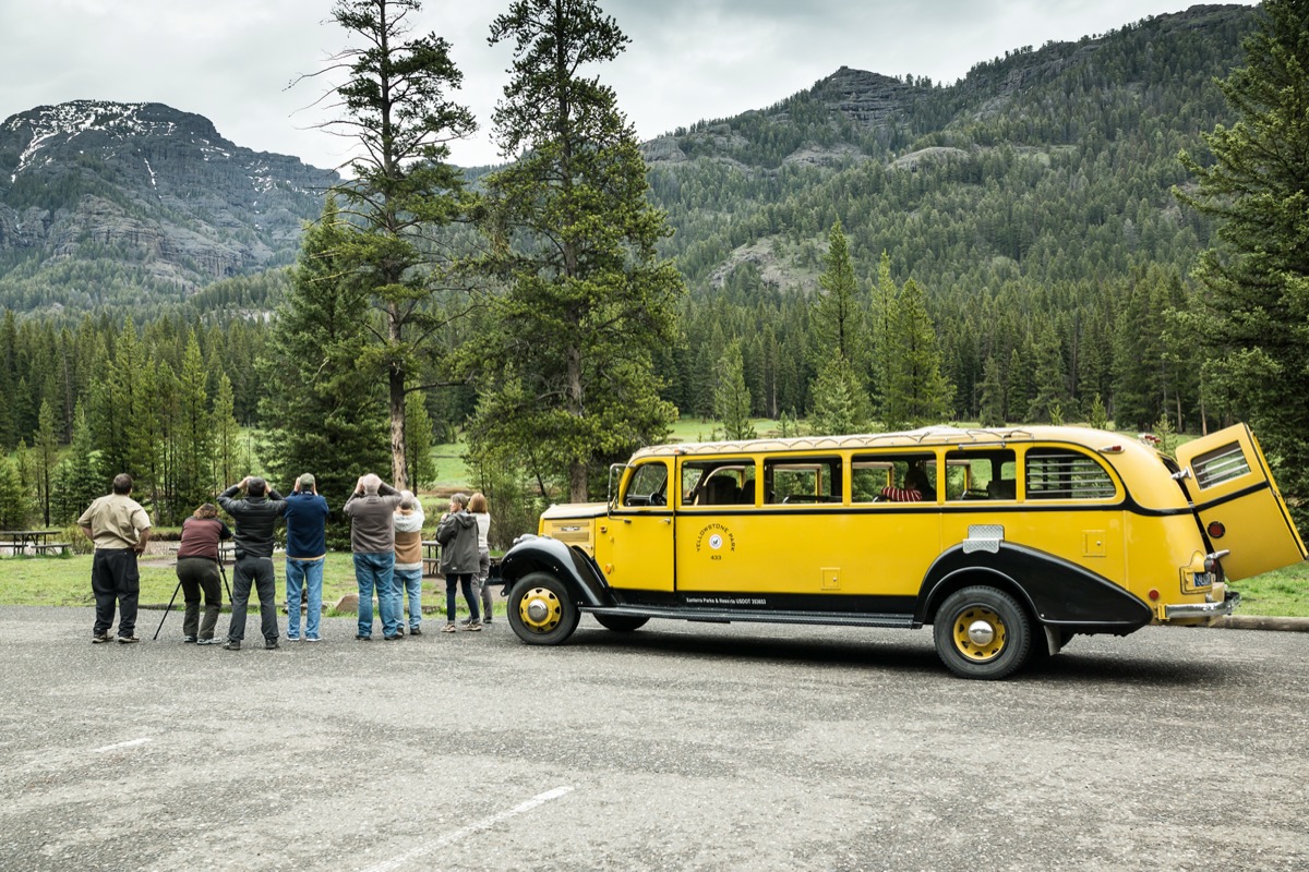 a tour group explores yellowstone in a yellow bus