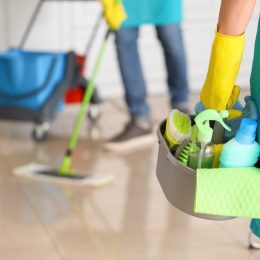 Cleaning supplies to disinfect house