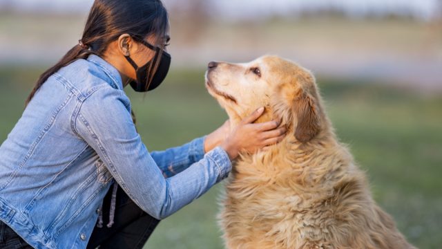 teen playing with golden retriever outside while wearing a mask.
