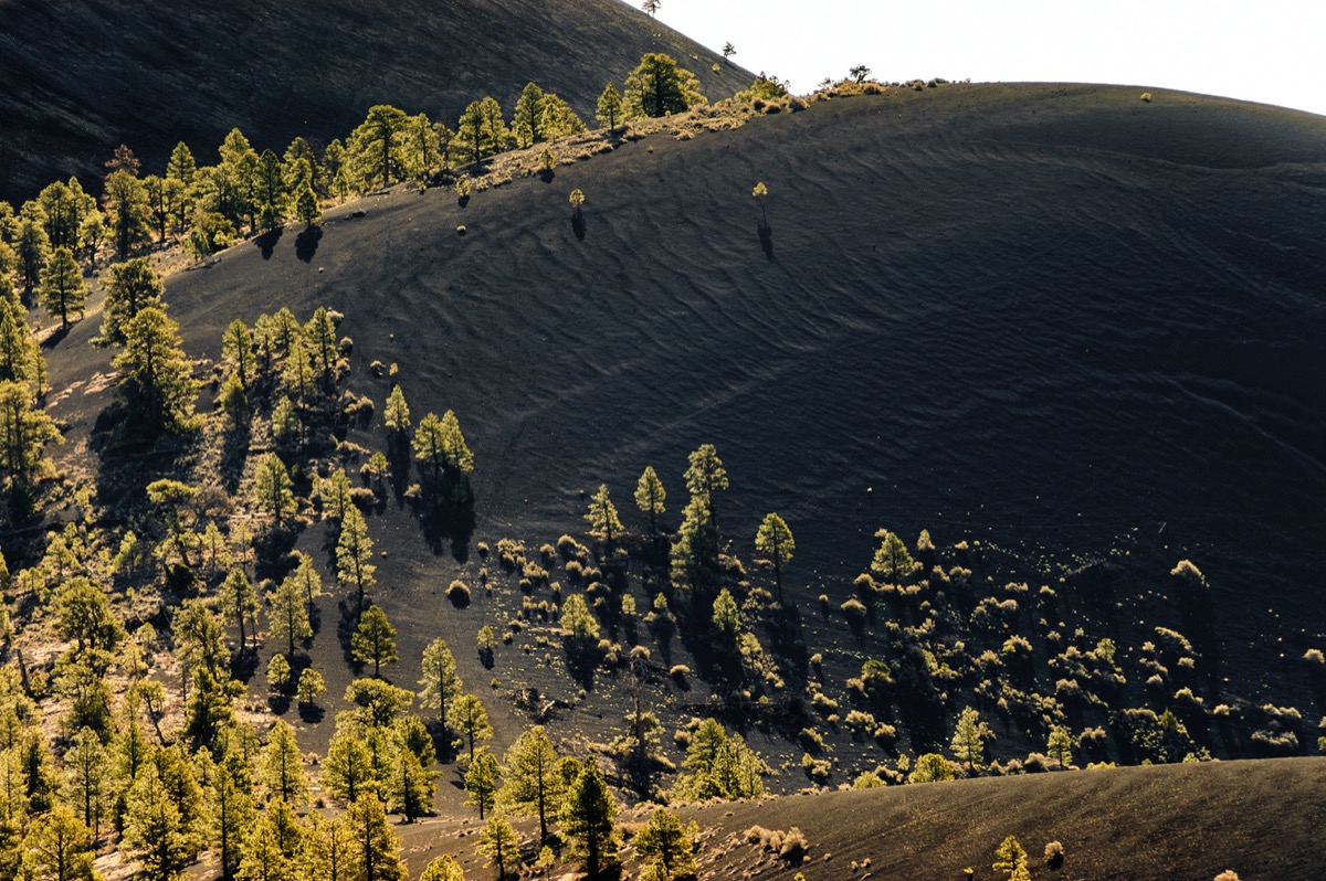 sunset crater national monument in arizona