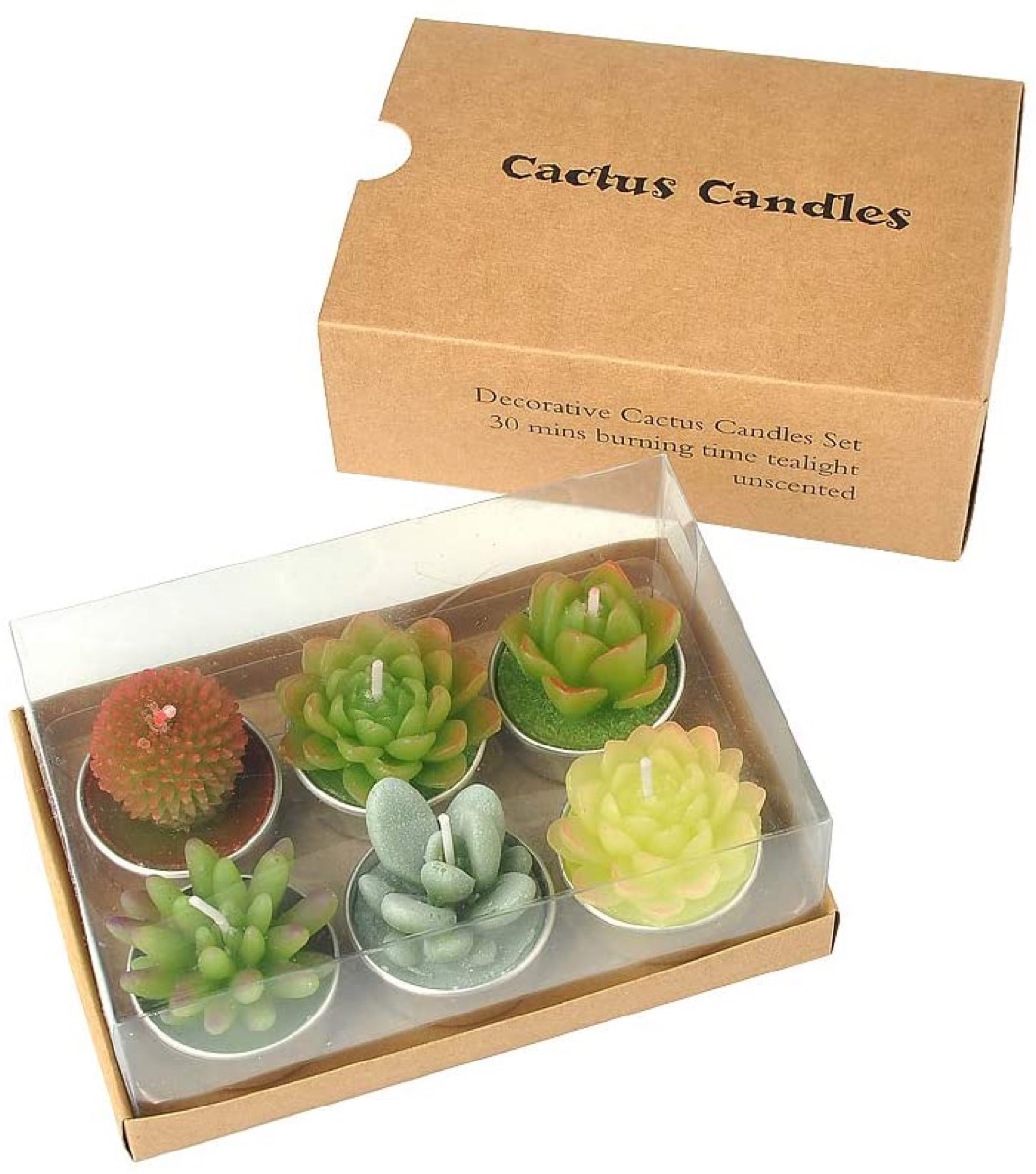 Succulent candle set