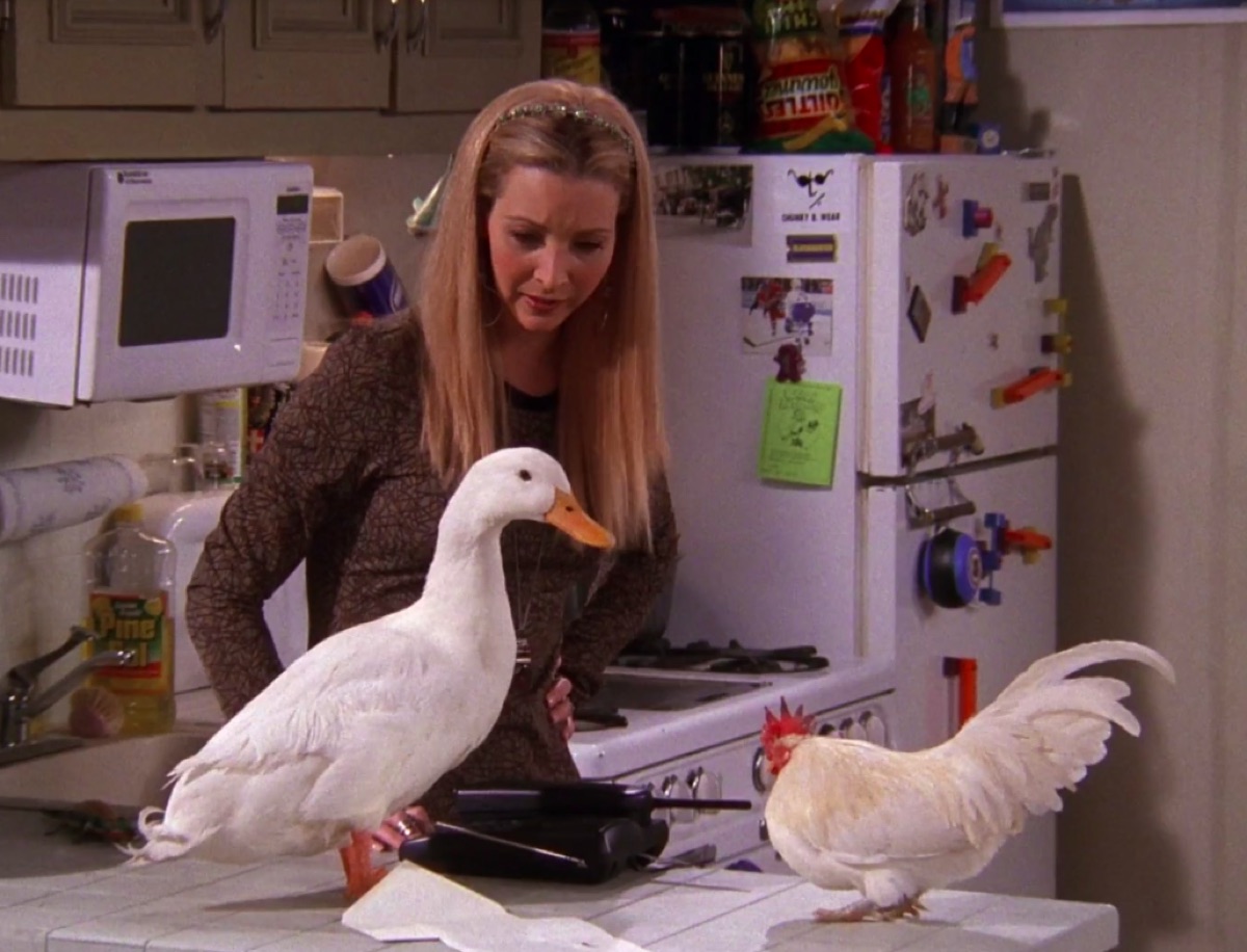 Lisa Kudrow with the chick and the duck on Friends