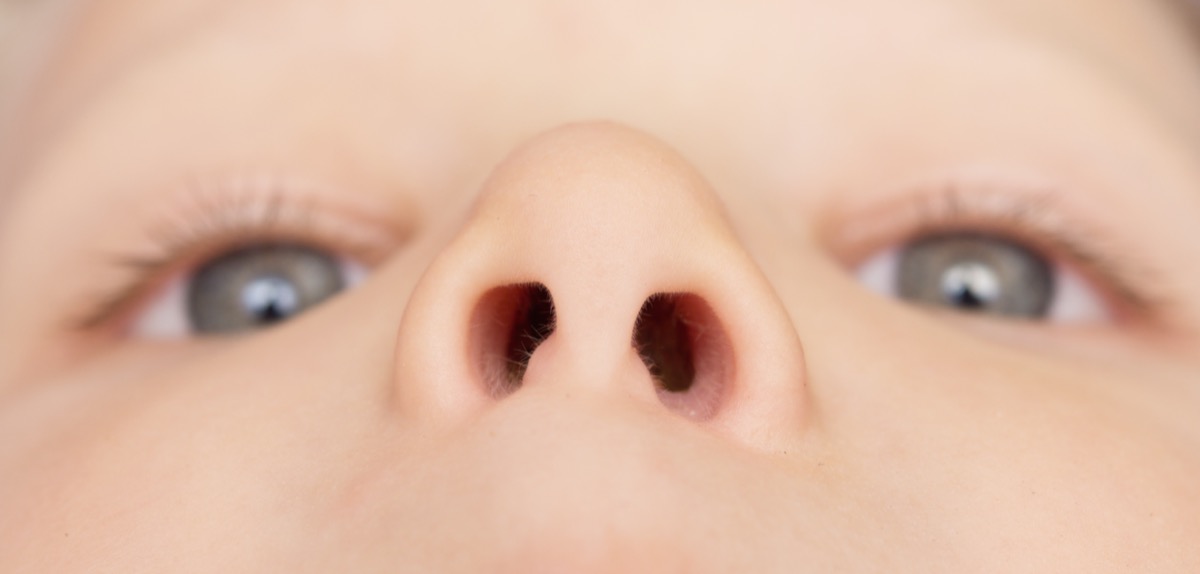 Close up of baby's nose