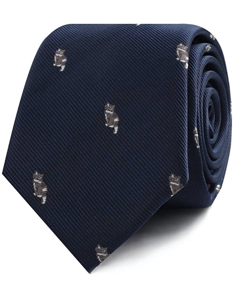 blue tie with gray cats