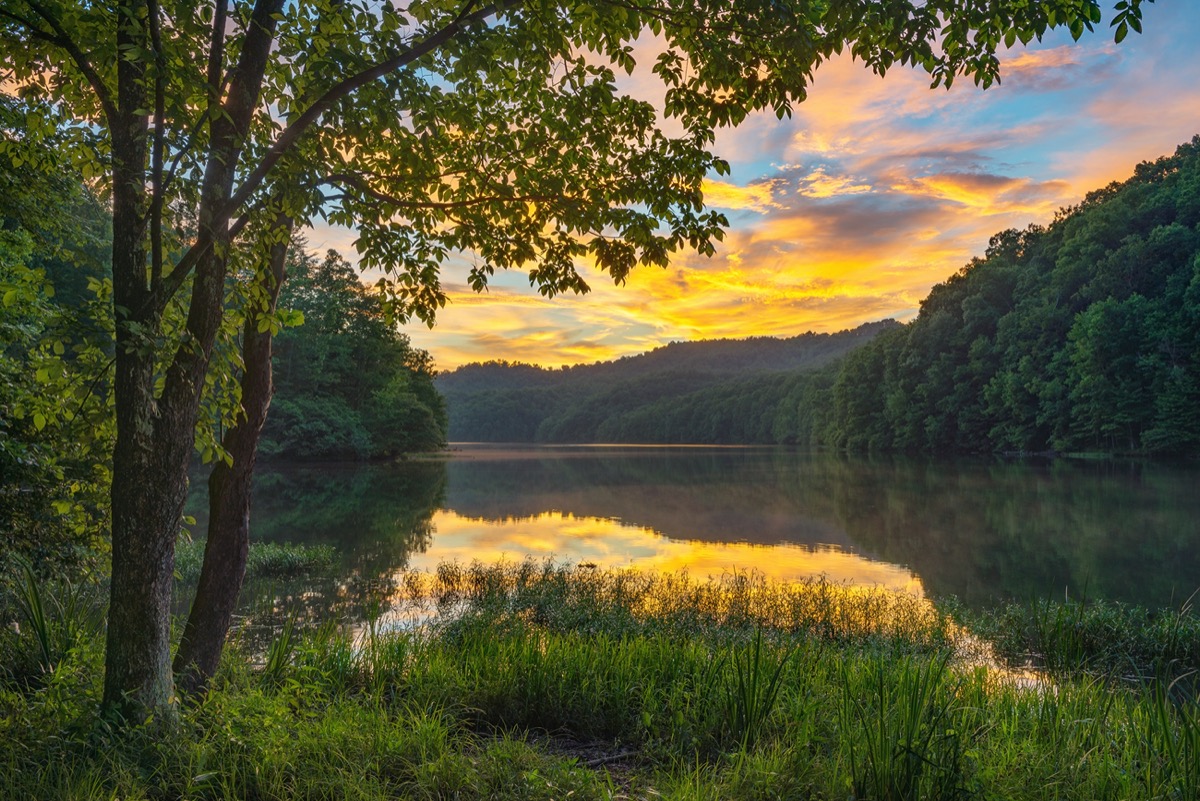 Dramatic evening light from along the lush shoreline of Cranks Creek Lake in the Southern Appalachian Mountains of Kentucky