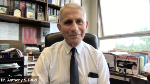 dr anthony fauci in his office
