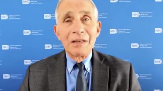 fauci appears in healthline interview discussing russian vaccine