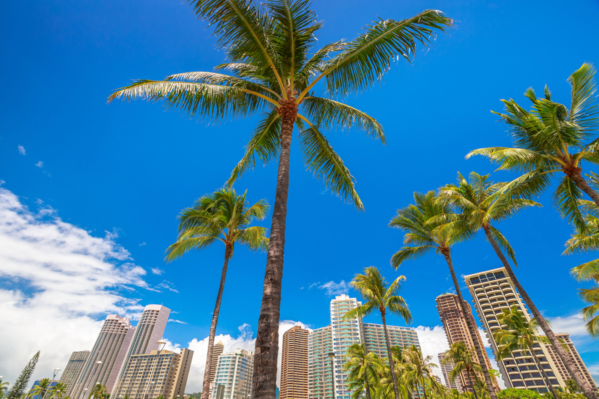 honolulu, hawaii skyline with buildings and palm trees