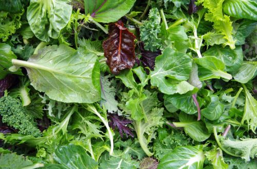 close up of mixed lettuce greens