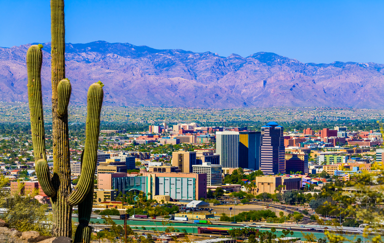 The skyline of Tucson, Arizona with cacti in the foreground